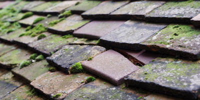 Llangain roof repair costs